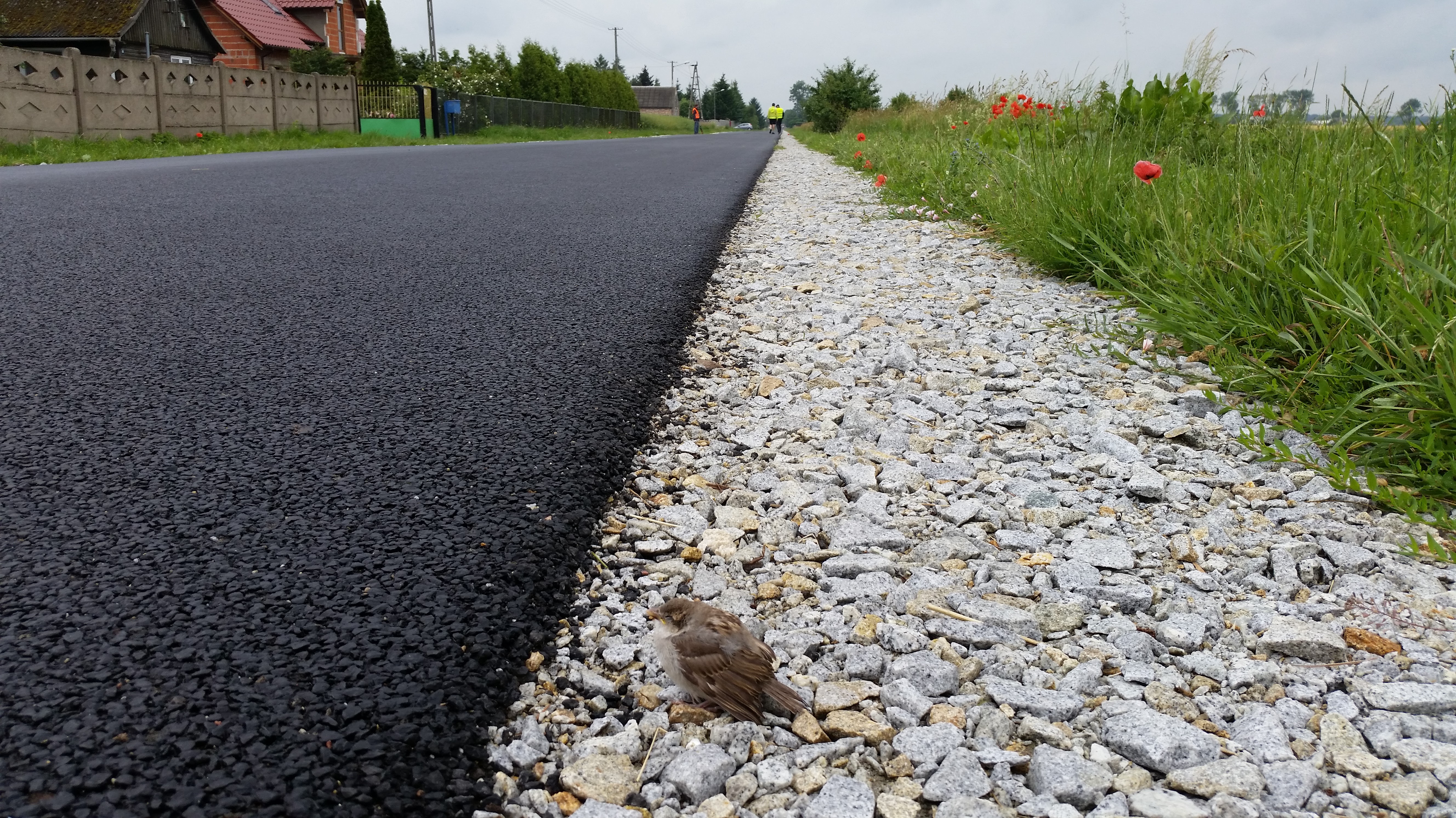 20150618_101621